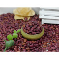 New crops 2017 Small Red Kidney Beans China of origin